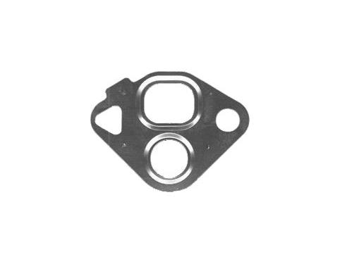 Gasket / Seal