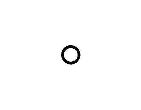 o-ring