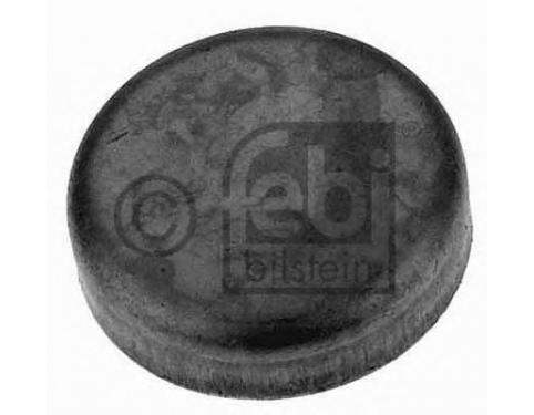 Frost Plug