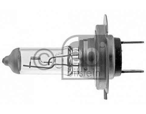 Bulb