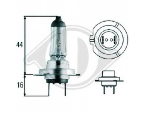 Bulb