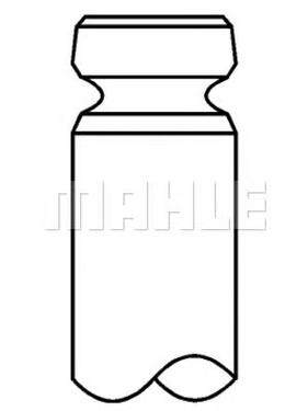 Exhaust Valve