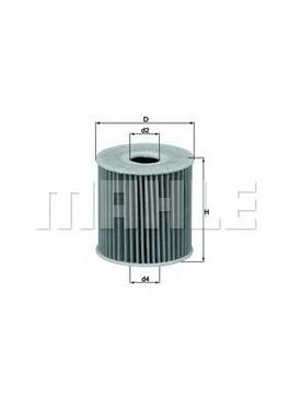Oil Filter