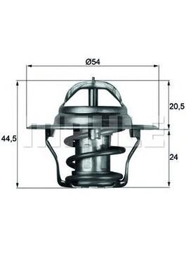 Thermostat, Coolant