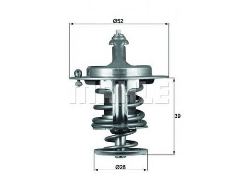Thermostat Assy