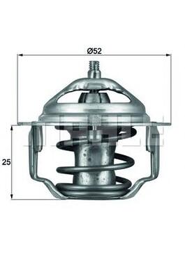 Thermostat, Coolant