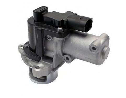 VALVE ASSY-EGR