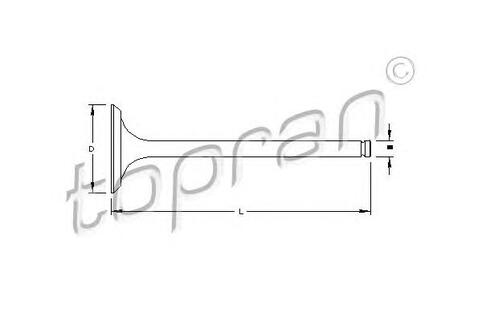 Exhaust Valve