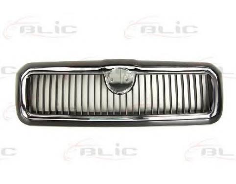 Radiator Grille