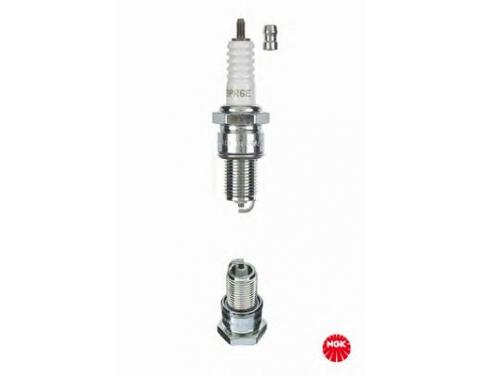 Spark Plug