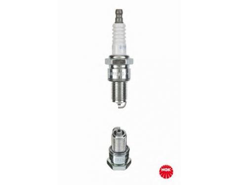 Spark Plug
