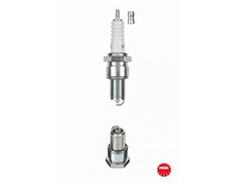 Spark Plug