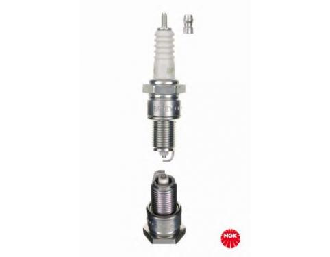 SPARK - PLUG