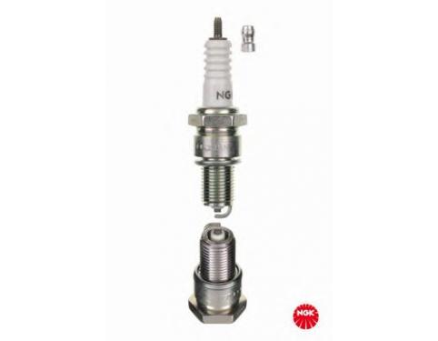 Spark Plug