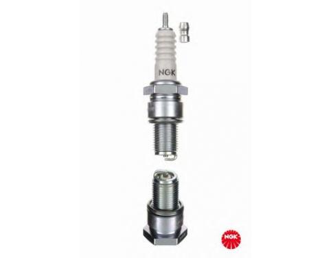Spark Plug