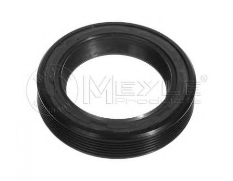 Shaft Seal, crankshaft; Shaft Seal, camshaft; Shaft Seal, intermediate shaft