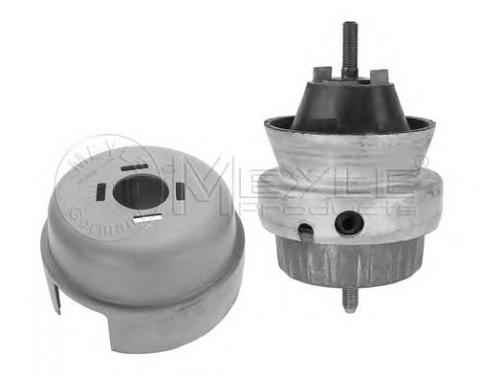 Engine Mounting