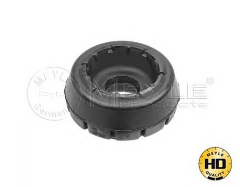 Top Strut Mounting