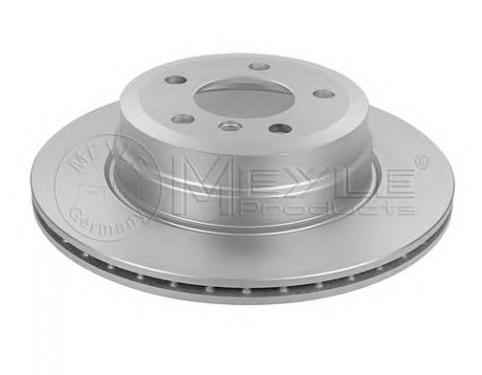 Rear Brake Disc