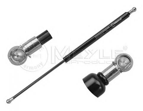 LIFTER ASSY-TAIL GATE LH