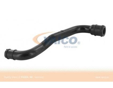 Hose, cylinder head cover breather