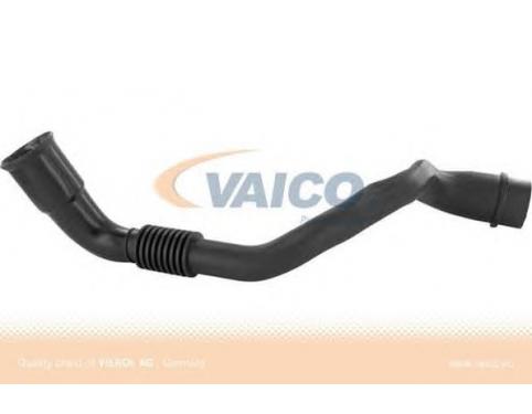 Hose, cylinder head cover breather
