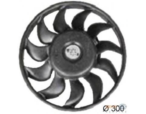 Fan, radiator