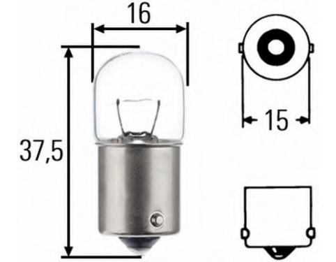 Bulb