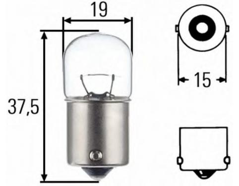 Bulb