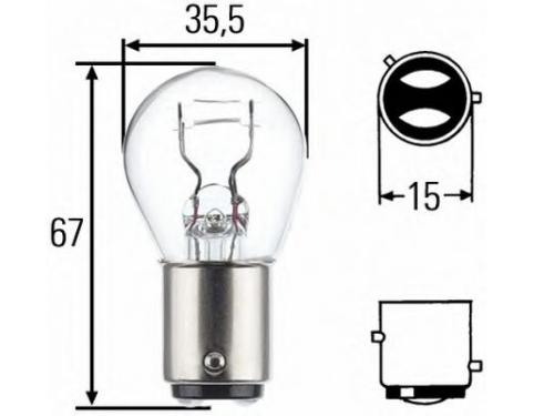 Bulb