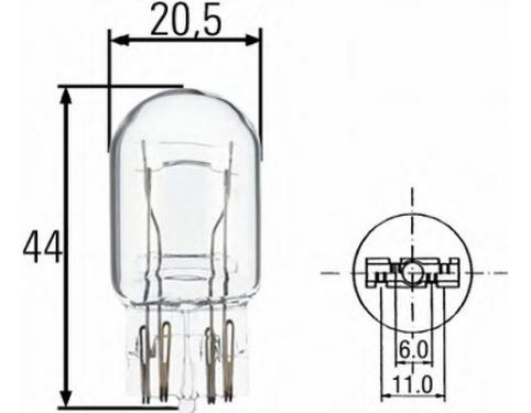 Bulb