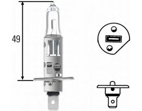 Bulb