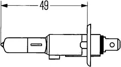 Bulb