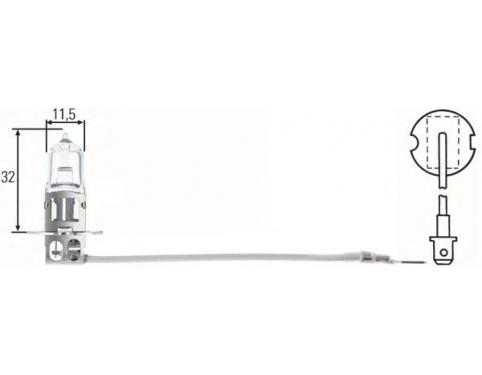 Bulb