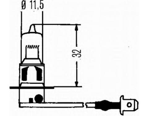Bulb