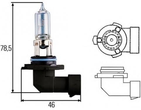 Bulb