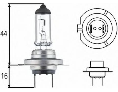 Bulb