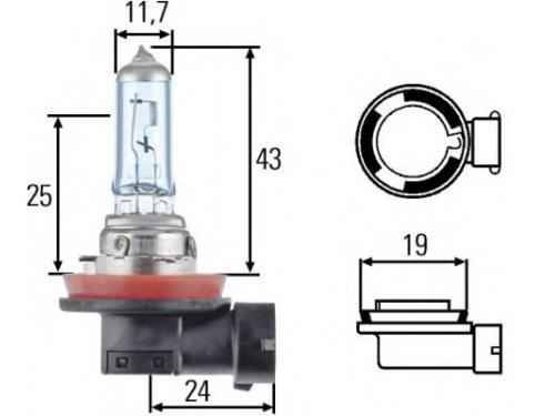 Bulb