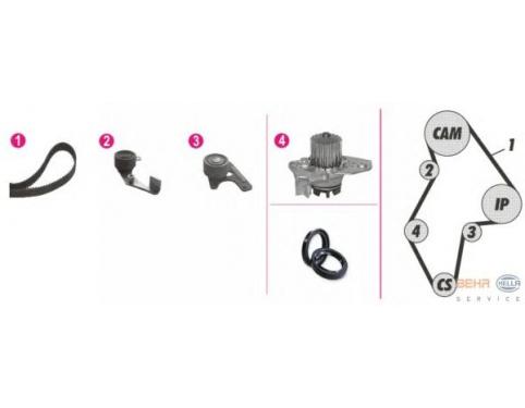 Timing Belt