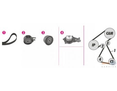Timing Belt