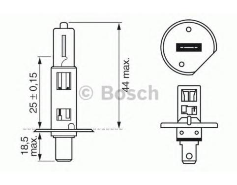 Bulb