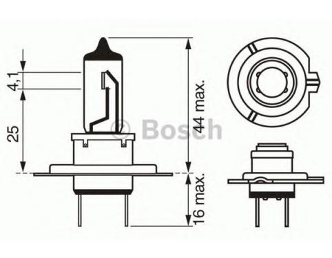 Bulb