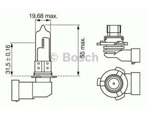 Bulb