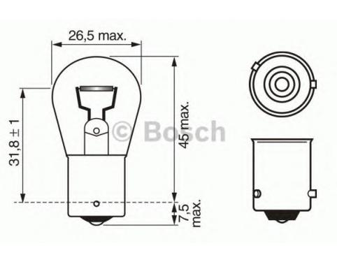 Bulb
