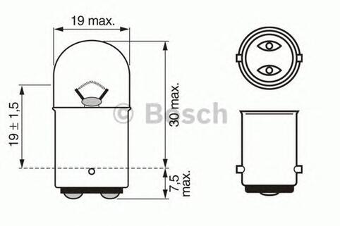 Bulb
