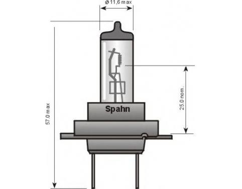 Bulb