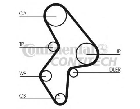 Timing Belt