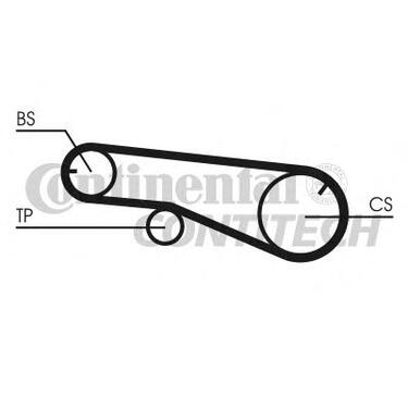Belt - Balance Timing