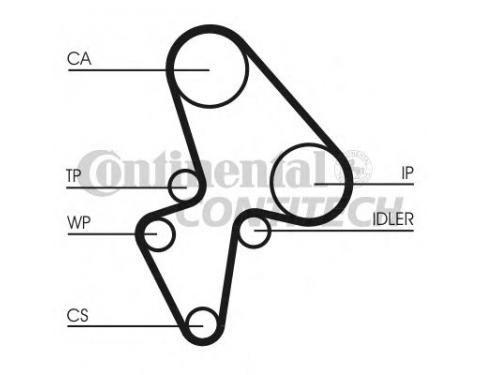 Timing Belt