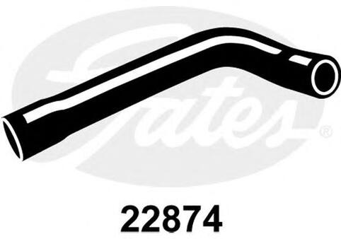 Radiator Hose